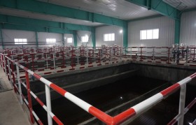 豆制品污水水质特征有什么？处理难点和工艺有哪些？